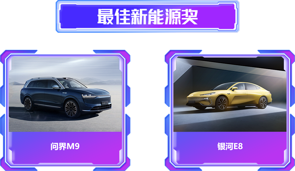 最佳新能源奖